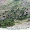 chazara briseis biotope